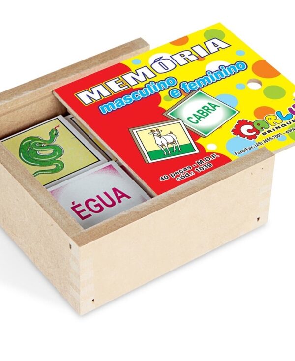 O-Jogo-da-Memória-Masculino-e-Feminino-2