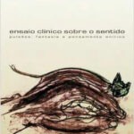 Ensaio Clinico Sobre O Sentido - Pulsões, Fantasia E Pensamento